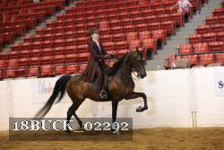 18BUCK_02292 proof