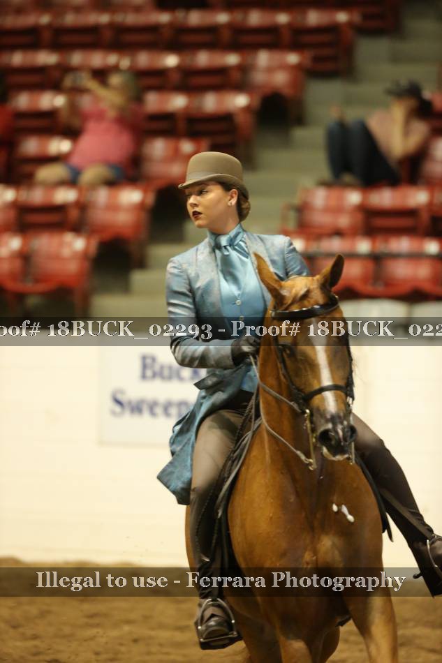 Proof 18BUCK_02293