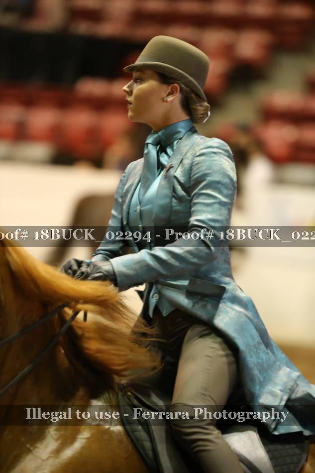 Proof 18BUCK_02294