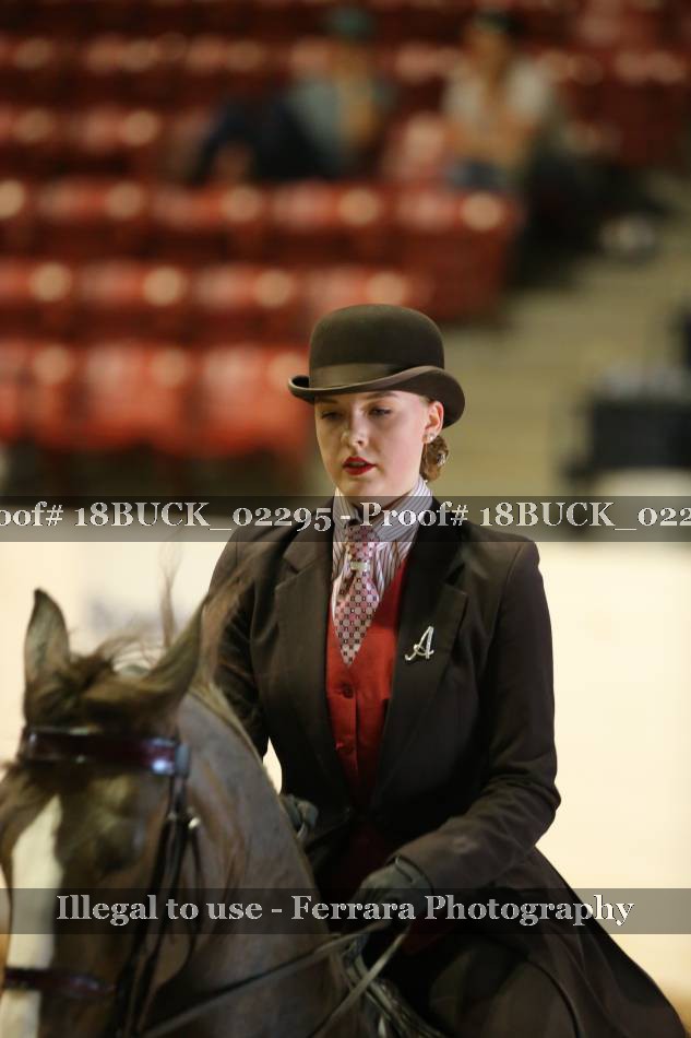 Proof 18BUCK_02295