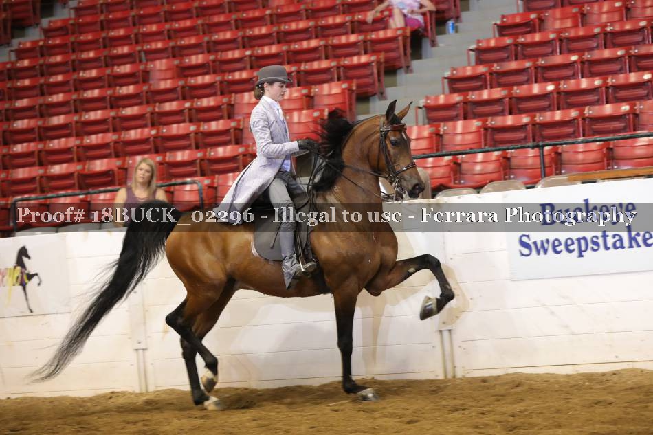 Proof 18BUCK_02296