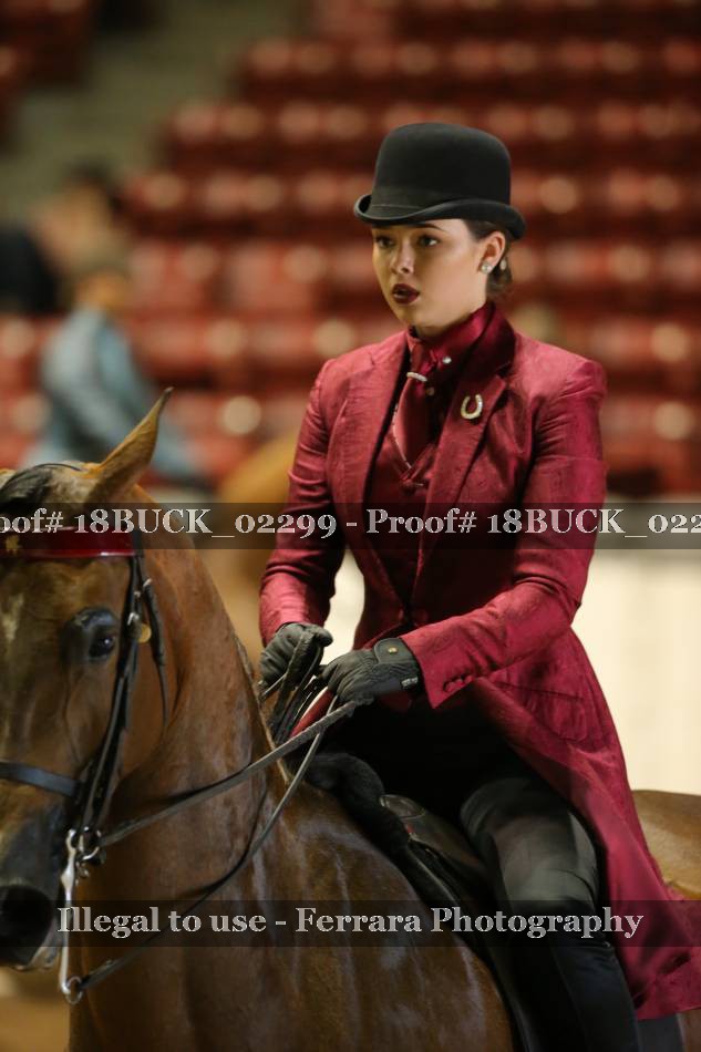 Proof 18BUCK_02299