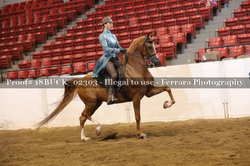 Proof 18BUCK_02303