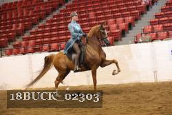 18BUCK_02303 proof