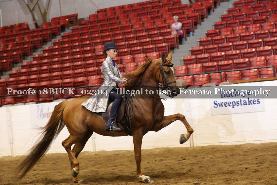 Proof 18BUCK_02304