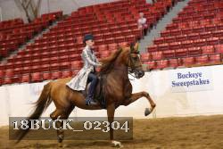 18BUCK_02304 proof