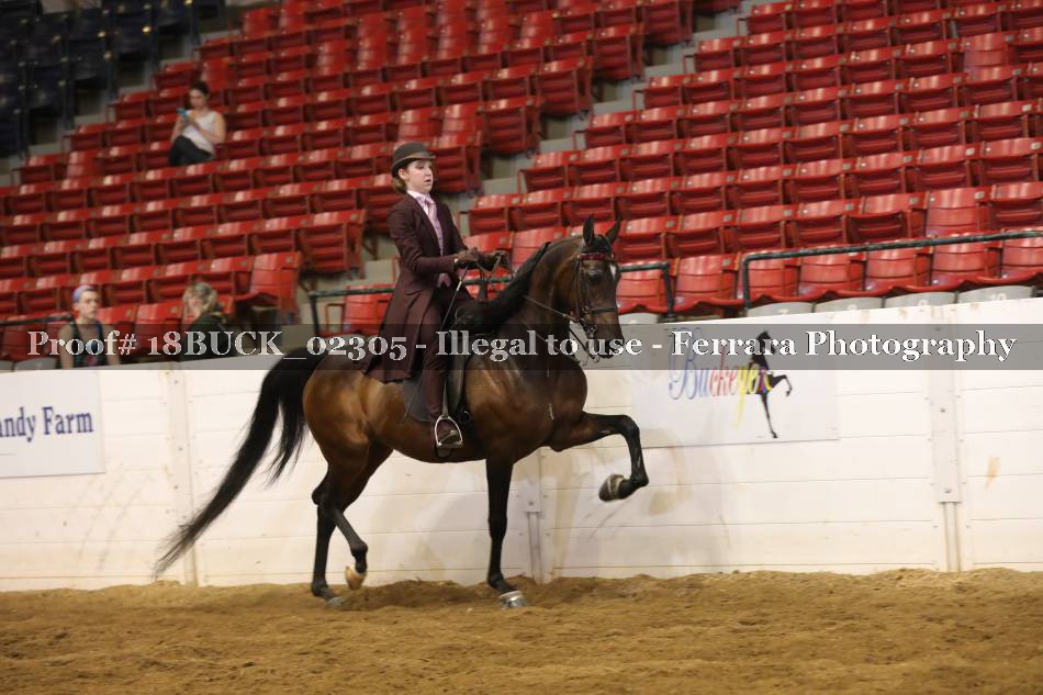 Proof 18BUCK_02305