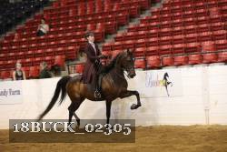 18BUCK_02305 proof