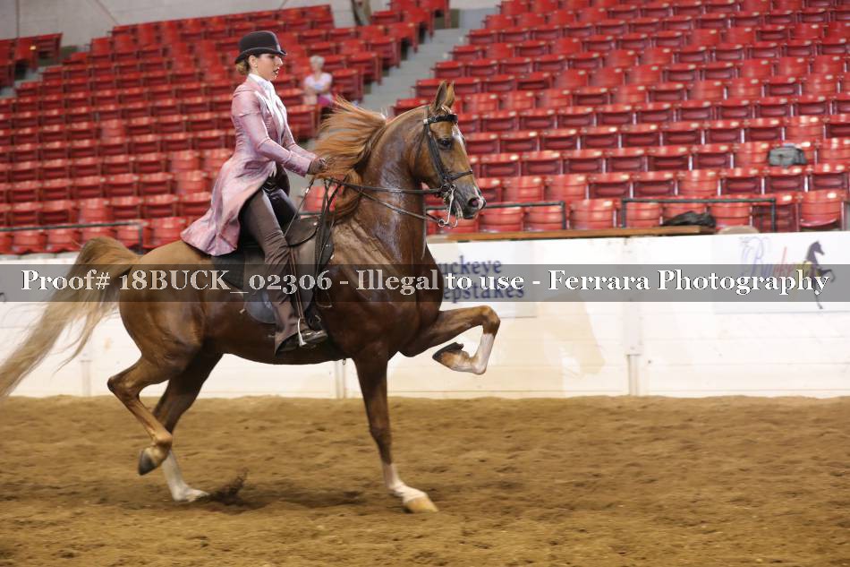 Proof 18BUCK_02306