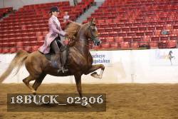 18BUCK_02306 proof