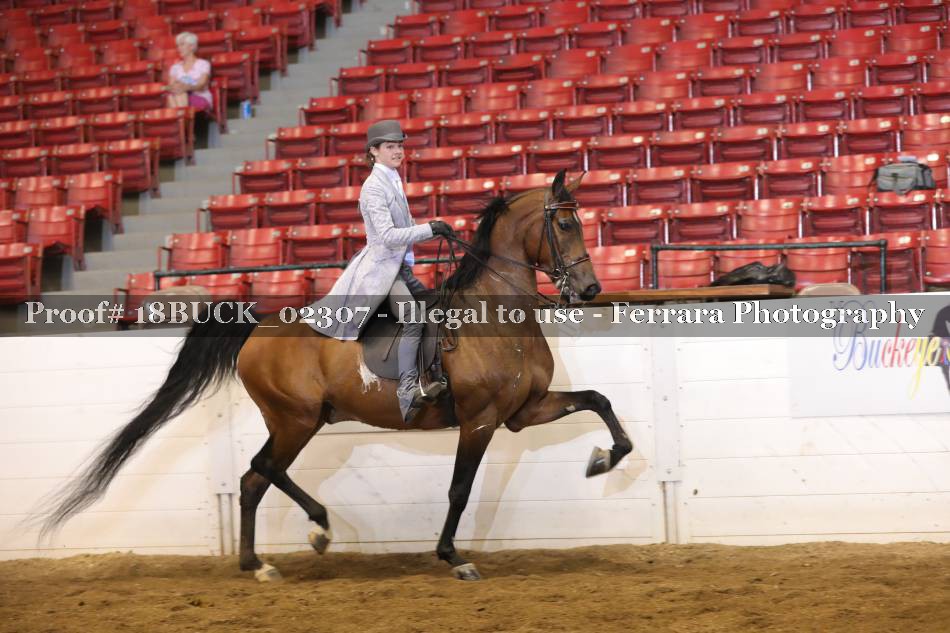 Proof 18BUCK_02307