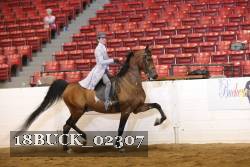 18BUCK_02307 proof