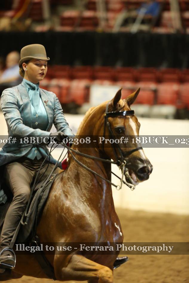 Proof 18BUCK_02308