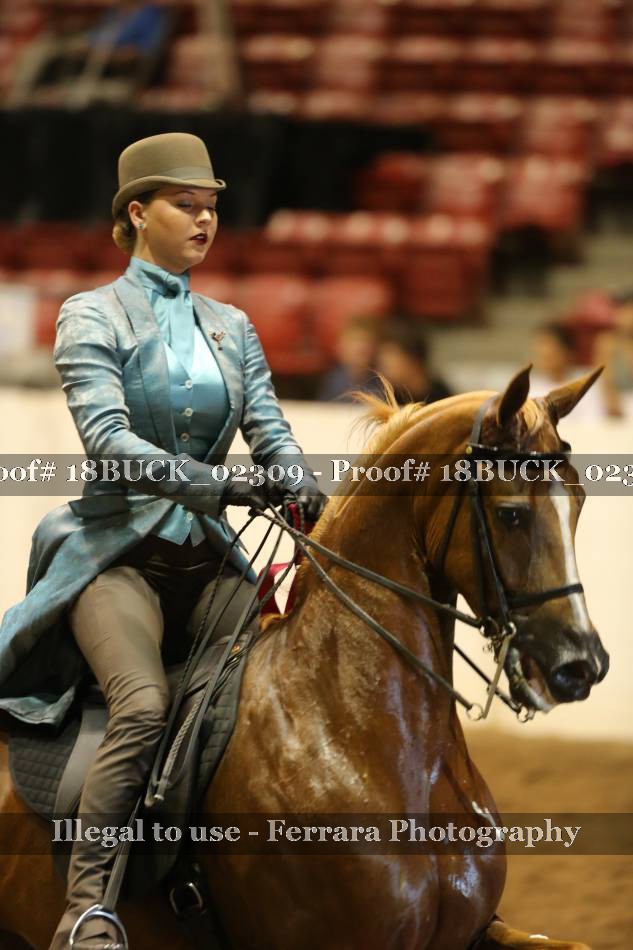 Proof 18BUCK_02309