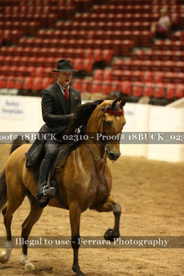 Proof 18BUCK_02310