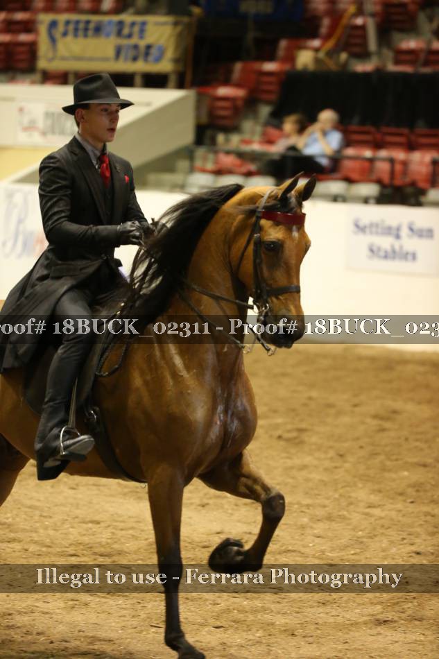 Proof 18BUCK_02311