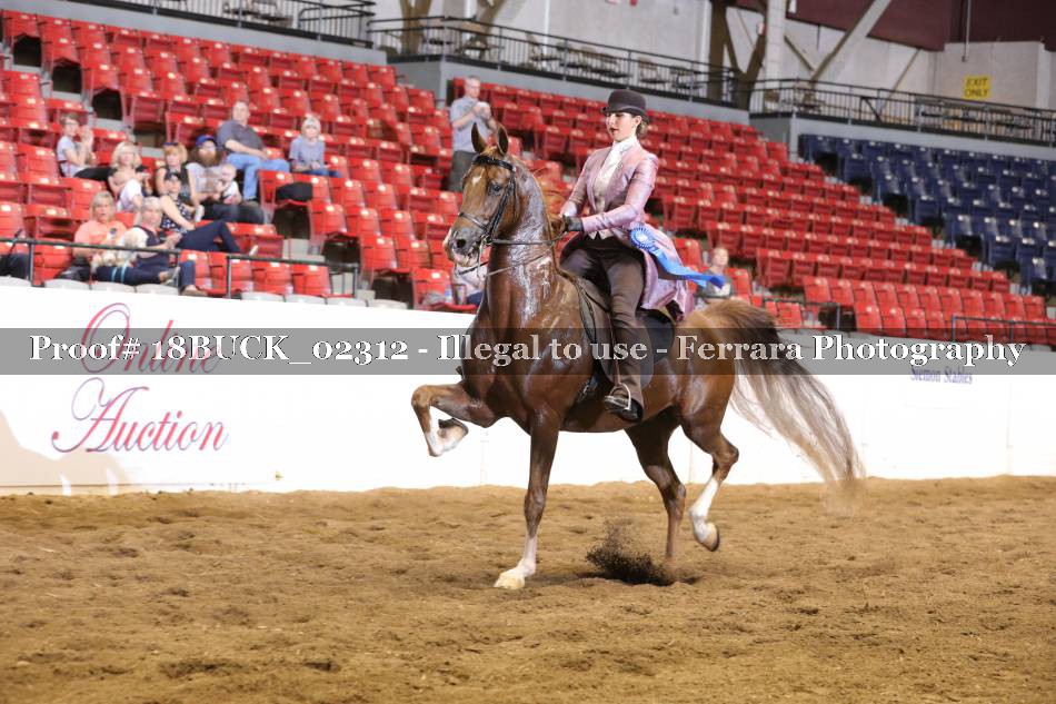 Proof 18BUCK_02312