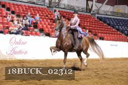18BUCK_02312 proof