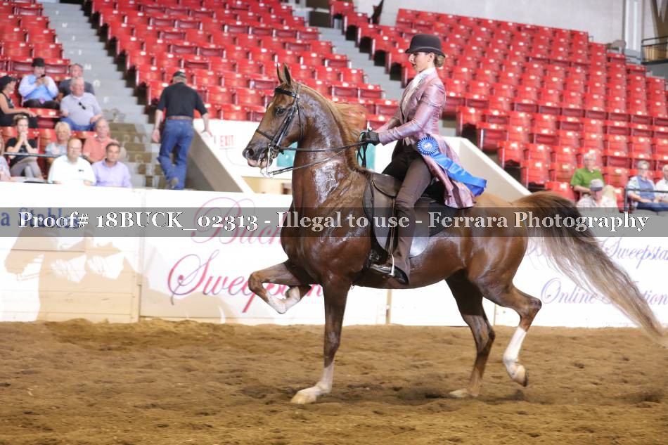 Proof 18BUCK_02313