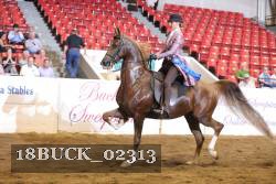18BUCK_02313 proof