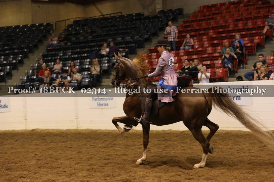 Proof 18BUCK_02314