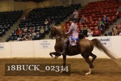 18BUCK_02314 proof