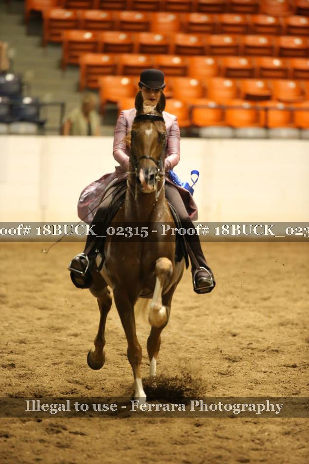 Proof 18BUCK_02315