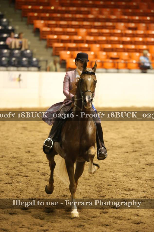 Proof 18BUCK_02316