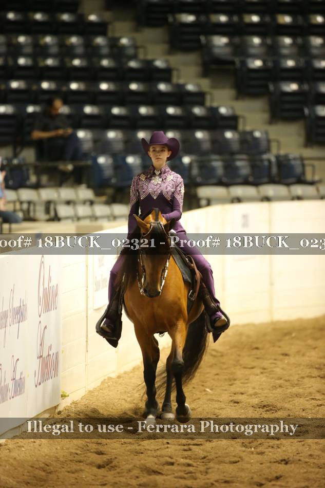 Proof 18BUCK_02321