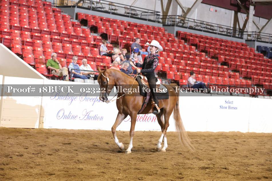 Proof 18BUCK_02322