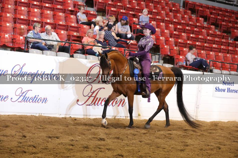 Proof 18BUCK_02327