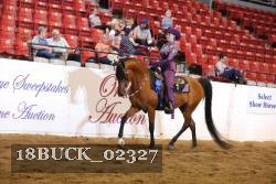 18BUCK_02327 proof