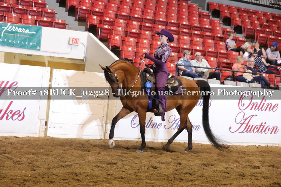 Proof 18BUCK_02328