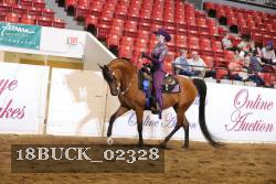 18BUCK_02328 proof