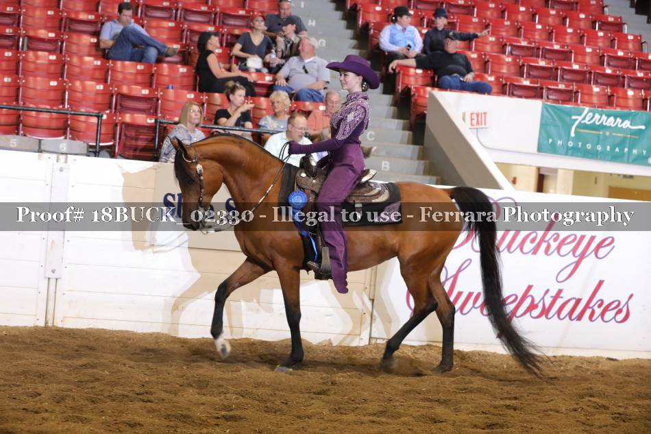 Proof 18BUCK_02330