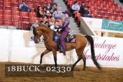 18BUCK_02330 proof