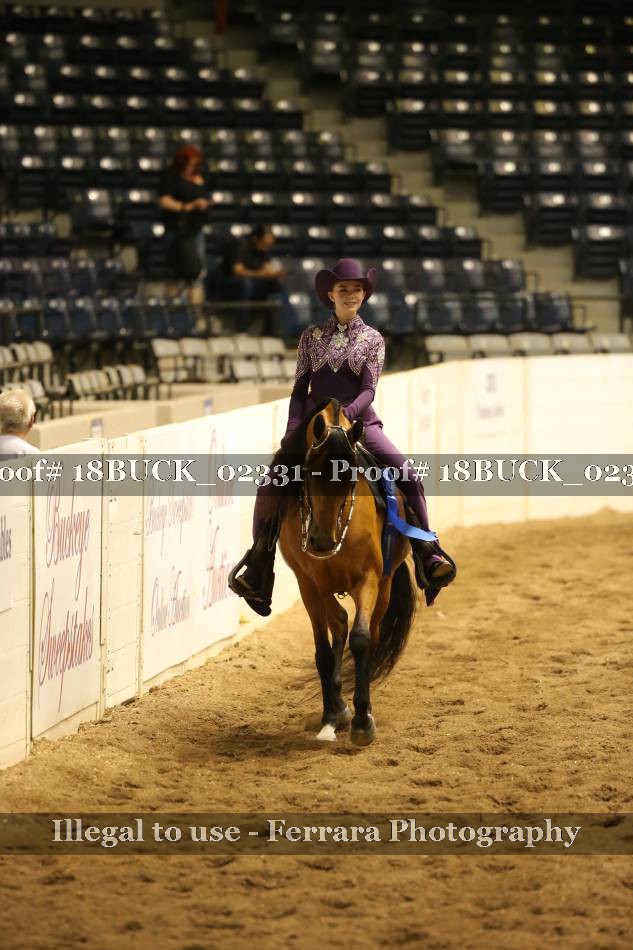 Proof 18BUCK_02331