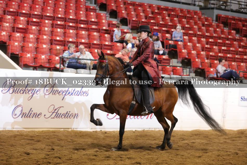 Proof 18BUCK_02333