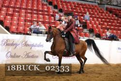 18BUCK_02333 proof
