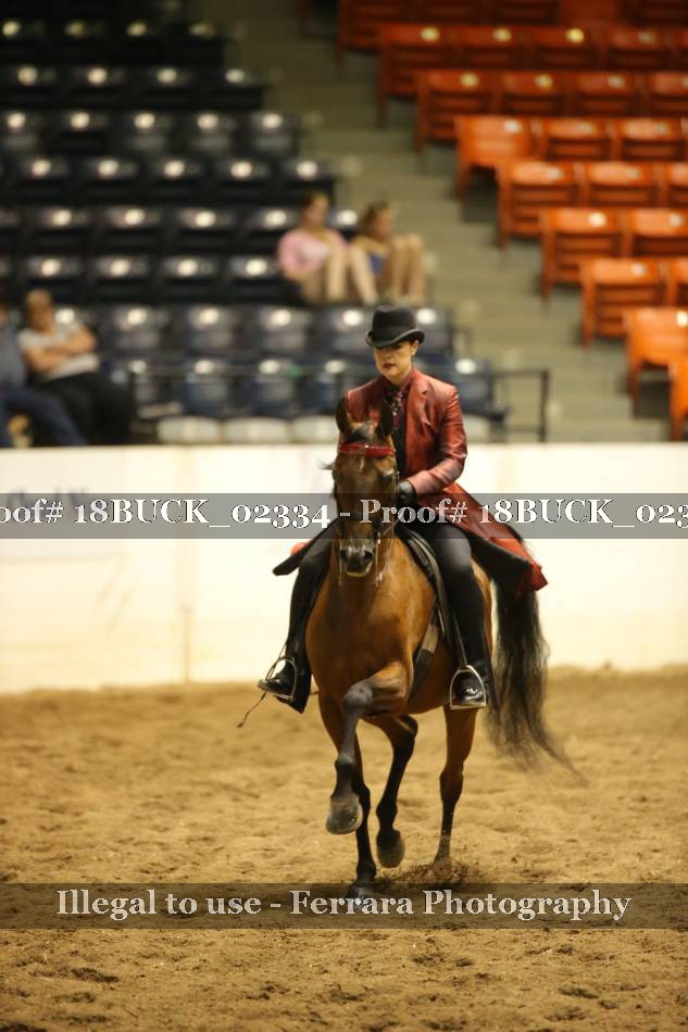 Proof 18BUCK_02334