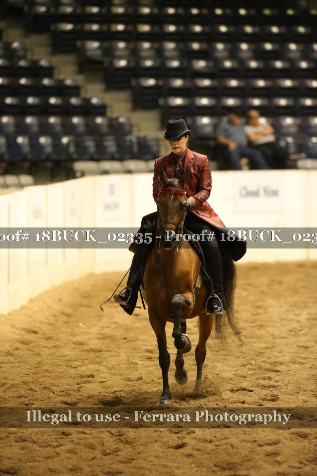 Proof 18BUCK_02335