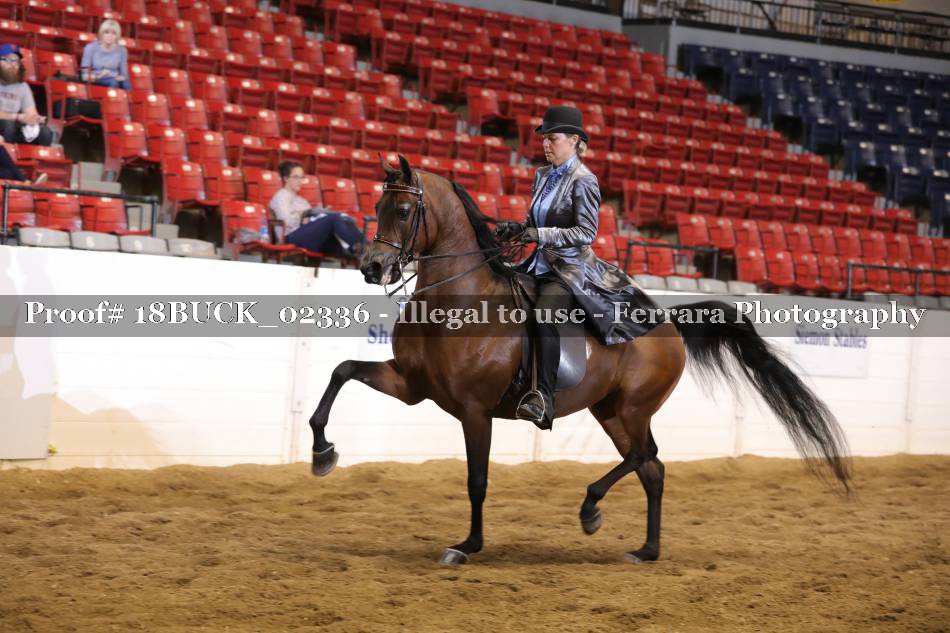 Proof 18BUCK_02336