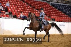 18BUCK_02336 proof