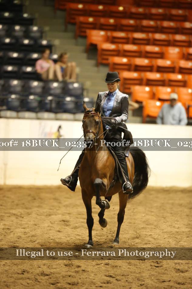 Proof 18BUCK_02337