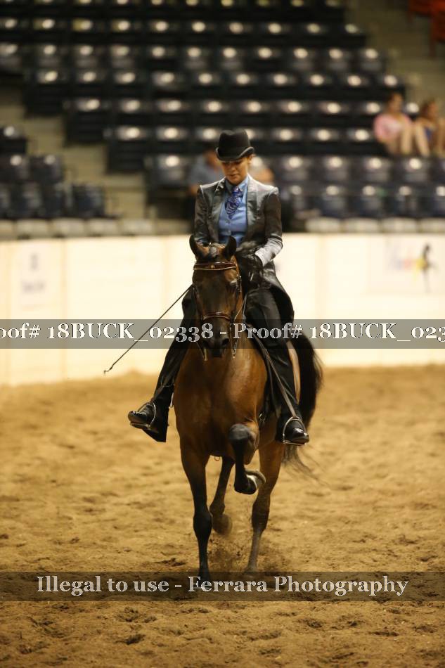 Proof 18BUCK_02338
