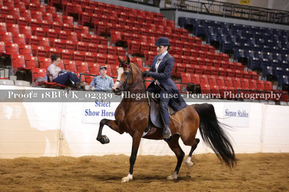 Proof 18BUCK_02339