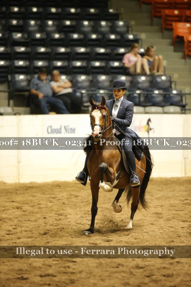 Proof 18BUCK_02341