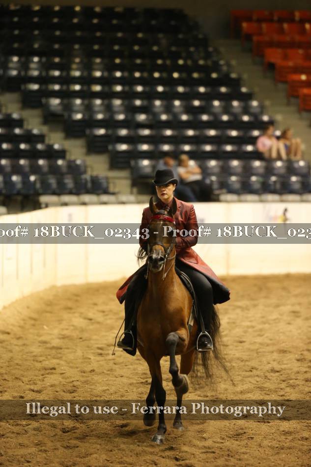 Proof 18BUCK_02343