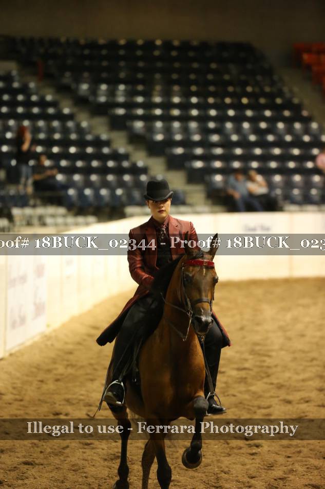 Proof 18BUCK_02344