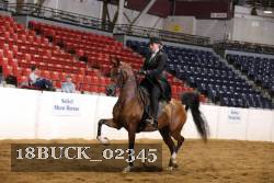 18BUCK_02345 proof